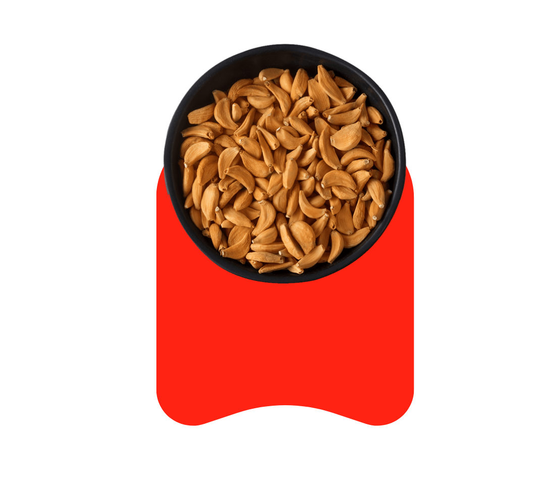 Premium Dehydrated Food Collection